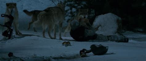 All submissions must be related to skiing. chesstest-dowloadingtime: Frozen (2010)