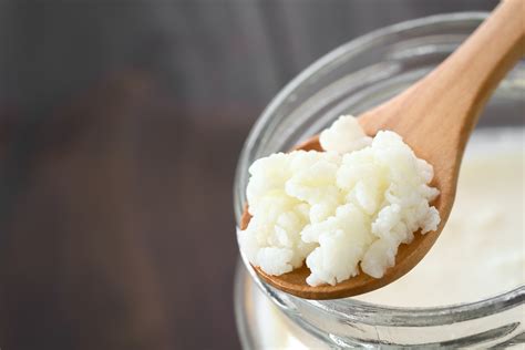 1 fermenting and harvesting kefir grains. The Amazing Benefits of Milk Kefir! - The Organic Goat Lady