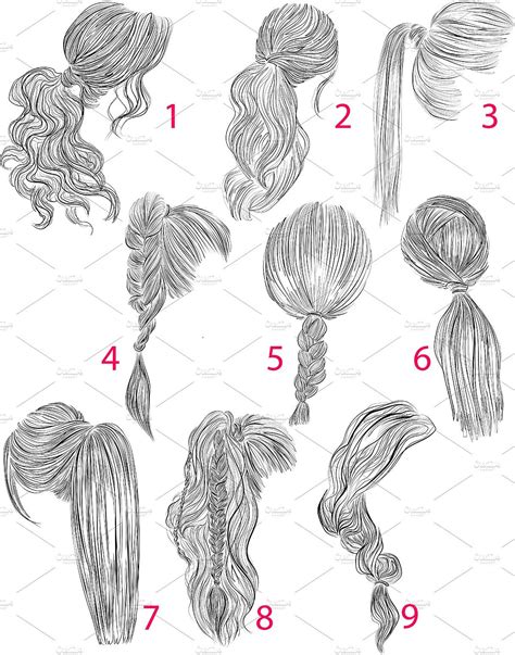 Ponytails Vector Hairstyles Set Ponytail Drawing Drawing Hair