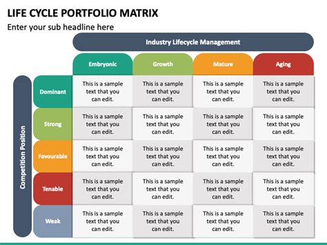 Lifecycle Portfolio Matrix Powerpoint Template Ppt Slides Sketchbubble