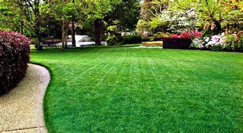 Applying lawn fertilizer is an important lawn care chore. Fertilizing with Iron