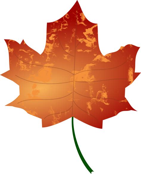 Autumn Leaf Vector Files Image Free Stock Photo Public Domain Photo