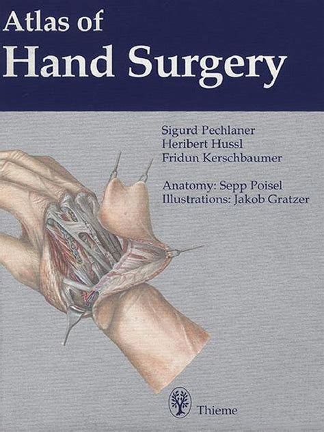 Atlas Of Hand Surgery Pdf Hand Human Anatomy