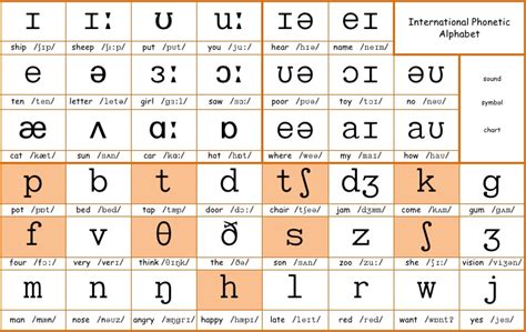 41 International Phonetic Alphabet Ipa 42 Voicedvoiceless
