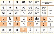 International Phonetic Alphabet Sounds : Ipa Charts Paul Meier Dialect ...