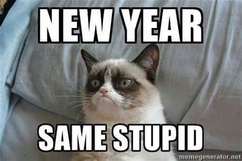 New Year Same Stupid In 2020 Grumpy Cat Humor Grumpy Cat Grumpy