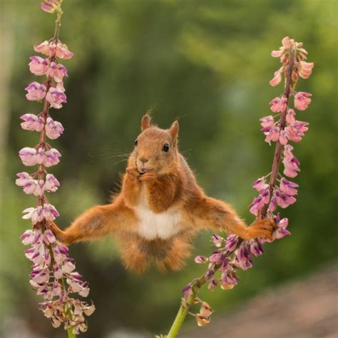 The Funniest Finalists Of The Comedy Wildlife Photography Awards 2018