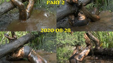 Mudlover Mud And Bondage Clips Self Bondage Torment In The Swamp 20220614