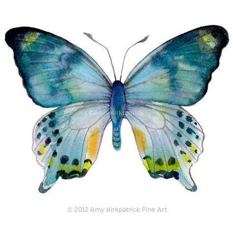 Laglaizei Butterfly 8x10 Signed Fine Art Print Of Amy Kirkpatrick