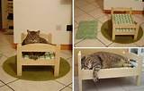 Cat Beds With Removable Covers