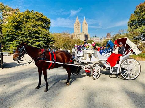Central Park Carriage Rides Nyc Tours Vip Sightseeing