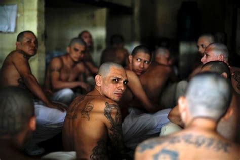 It endured a brutal civil war in the 1980s, which lasted for more than a decade. Harrowing photos show prisoners stacked together in El ...