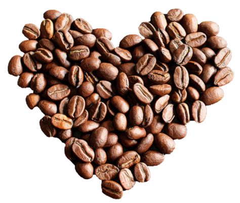 Coffee Beans Png Transparent Image Download Size 526x447px