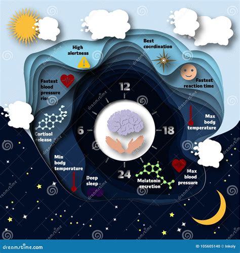 Human Biological Clock Infographics Stock Illustration Illustration