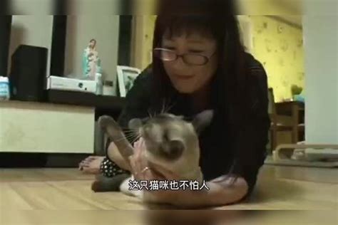 你见过不吃东西的猫咪吗？这只猫很少吃猫粮，它究竟偷吃了什么？猫咪东西什么