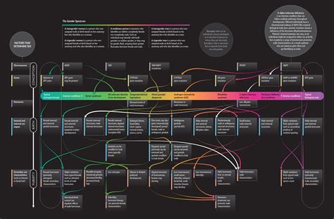 Graphics Diagrams And Models — Gender Inclusive Biology