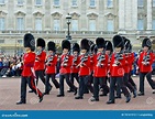 Les Gardes Royales, Londres Photo stock éditorial - Image: 70141913