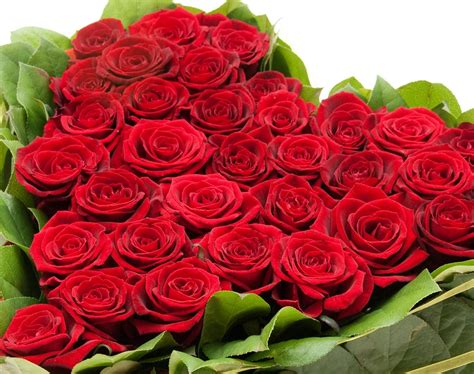 389 49 bouquet roses flowers. bunch of flowers images download 20 free Cliparts ...