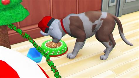 Holiday Pet Set By Thiago Mitchell At Redheadsims Sims 4 Updates