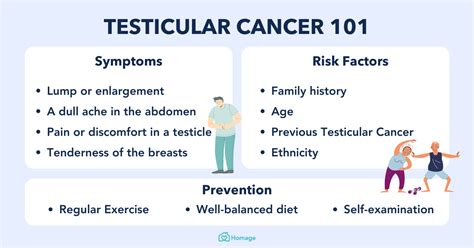 Understanding Testicular Cancer Causes Symptoms And Treatment