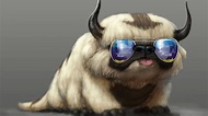 Avatar The Last Airbender Appa With Goggles HD Anime Wallpapers | HD ...
