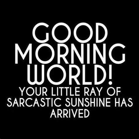 Top 40 Sarcastic Humor Quotes Funny Good Morning Quotes Morning Humor
