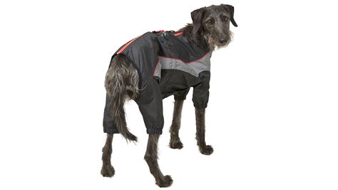 Best Waterproof Dog Coats For Warmth Dryness And Style