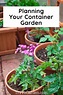 A Beginner's Guide to Container Gardening - Try To Garden