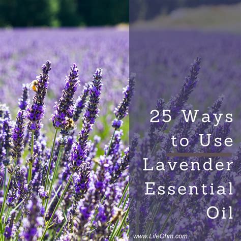 25 Ways To Use Lavender Essential Oil Lifeohm
