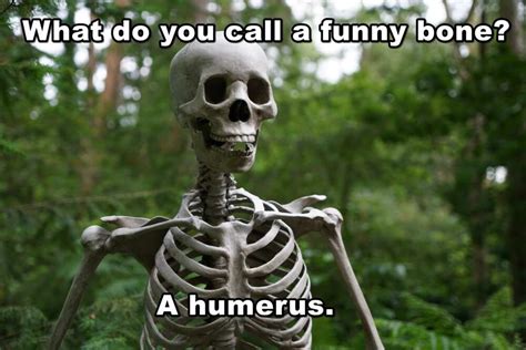 100 Skeleton Puns Jokes And Memes That Will Tickle Your Funny Bone