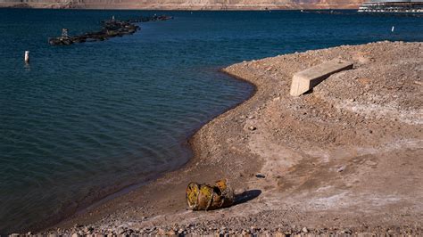 Remains Found At Lake Mead Identified The New York Times