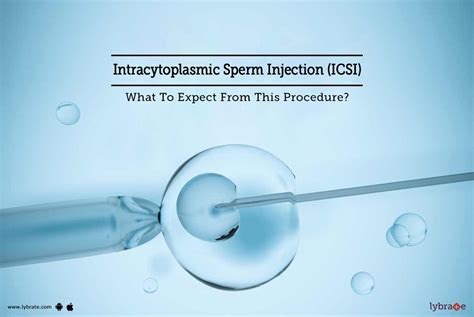 Intracytoplasmic Sperm Injection Icsi What To Expect From This