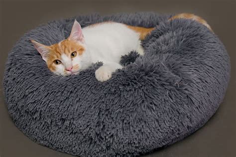 Let's take your cat camping. CatMallow - Marshmallow Calming Cat Bed - Anxiety Relief ...