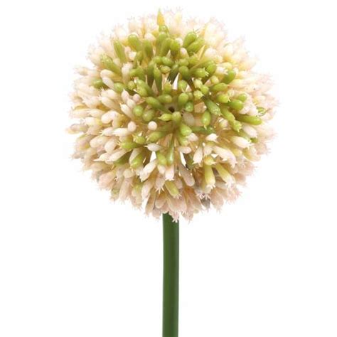 Floristik Fr Allium Ornemental Artificiel Rose Vert Cm Cm