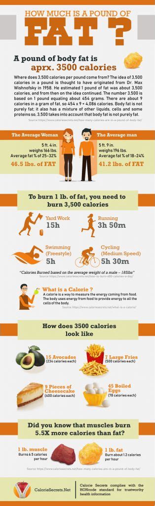 Second, if they do the opposite of this and instead create a 3500 calorie surplus by eating additional calories, they'll gain exactly one pound. How Many Calories Are in a Pound of Body Fat?
