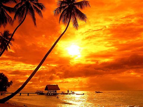 Bora Bora Tropical Sunset Beach Palm Trees Red Sky Clouds Ultra Hd 4k