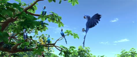 Rio 2 Roberto And Macaws D Idk By Bluloversk On Deviantart