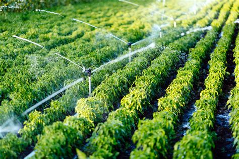 Types Of Irrigation Systems Smartguy