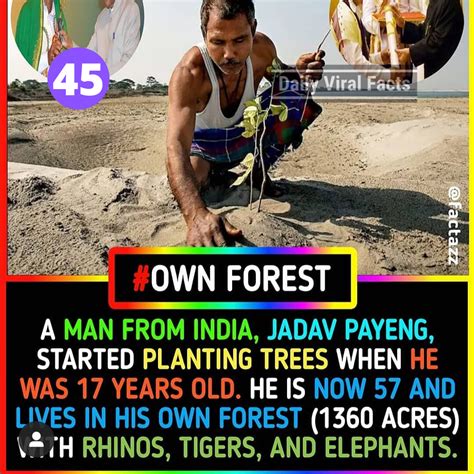 100 interesting facts about the world to blow your mind fun facts world facts kulturaupice
