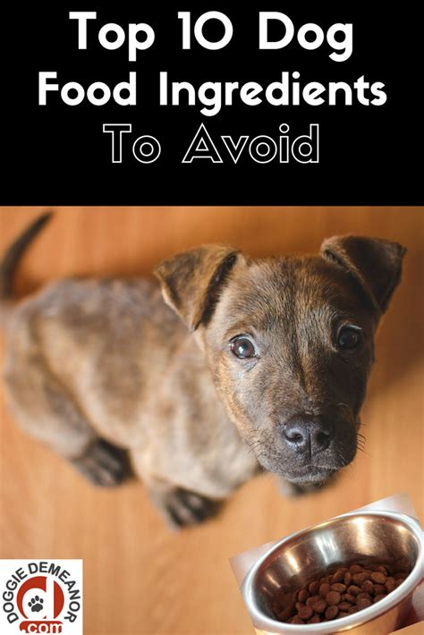 Dog food brands to avoid uk. Dog Food Ingredients to Avoid | DoggieDemeanor.com
