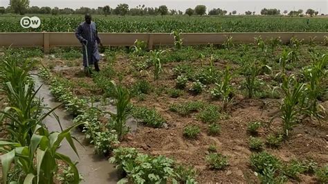 Muna gabatar da labarai daga jamus da nahiyar afirka da kuma duniya gaba daya. DW Hausa - Home | Facebook