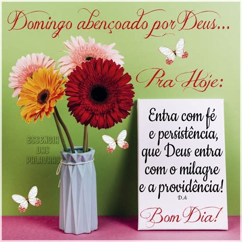Que hoje todos aproveitem ao máximo cada instante vivido. Bom Domingo 🌄 em 2020 | Mensagems de bom dia, Reflexão do ...
