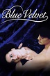 Blue Velvet - Rotten Tomatoes