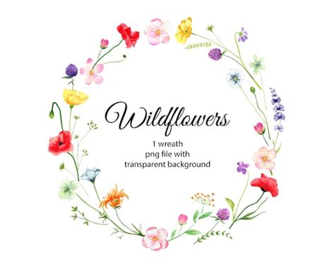 Watercolor Wildflowers Wreath Clipart Botanical Floral Etsy
