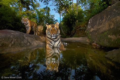 Naturaleza: Las fotos más espectaculares del 2012 - Imágenes - Taringa!