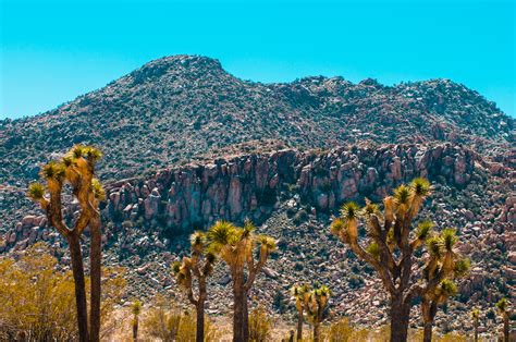 The price is $110 per night from jul 30 to jul 30. Joshua Tree National Park | jon benjamin photography
