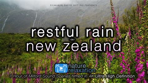 Restful Rain In New Zealands Milford Sound 1 Hr 4k Nature Relaxation