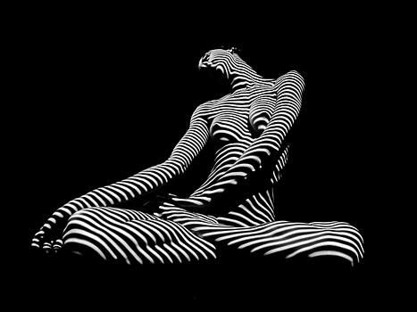 Chris Maher Artwork Collection Zebra Woman Stripe Series