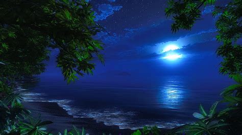 Night Beach Ocean Sea Beach Moon Dark Summer Moonlight