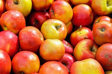 Turn the apple product you have into the one you want. 10 Countries that Export the Most Apples in the World ...